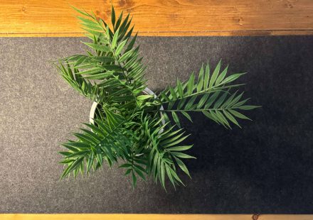 Spacing and light working in accordance with a plant on a cosy desk setup.