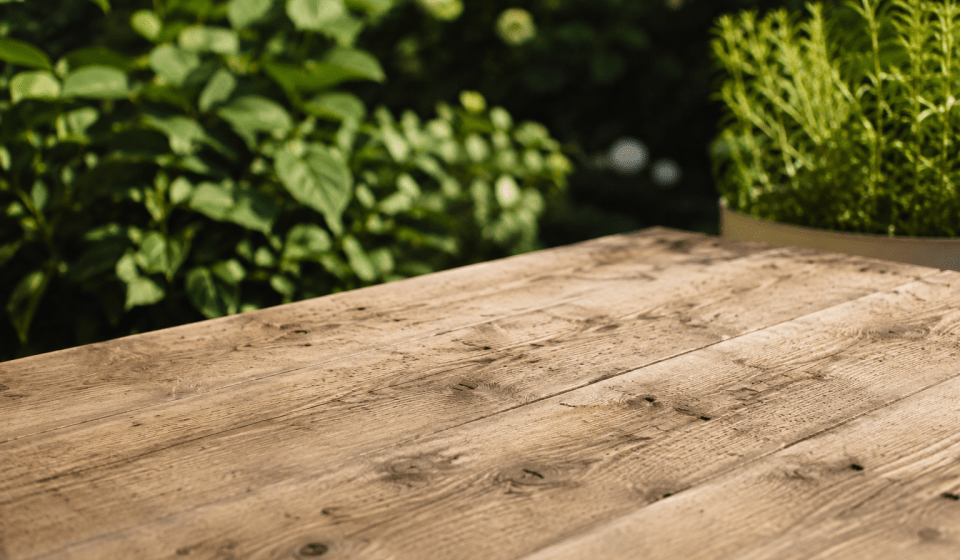 Scaffold wood for biophilic office design